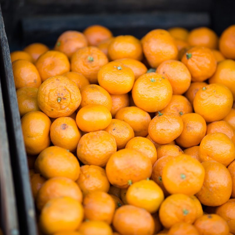 mandarina3