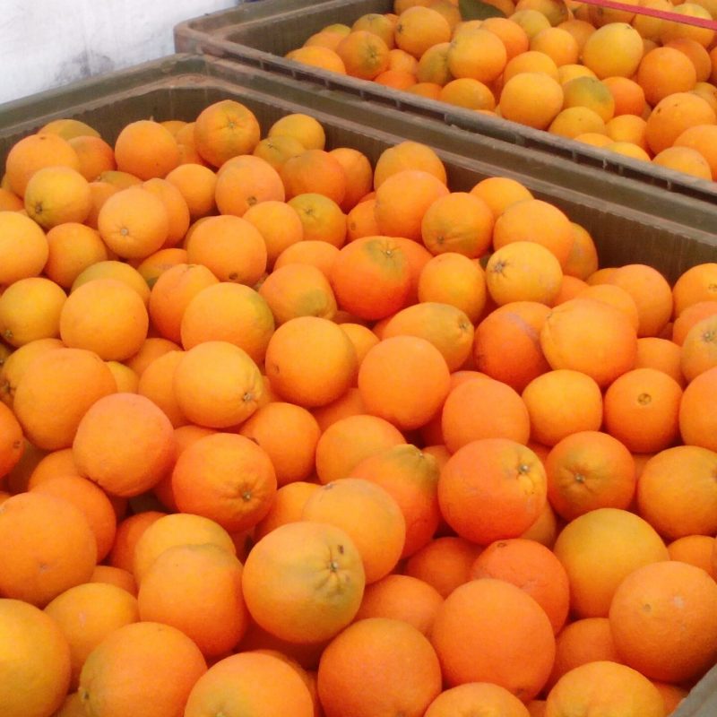 naranjas